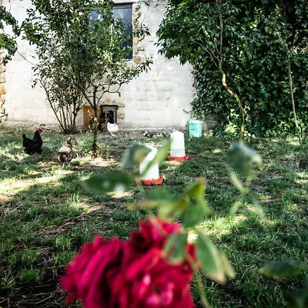 Casa Rural Arribes Vida I