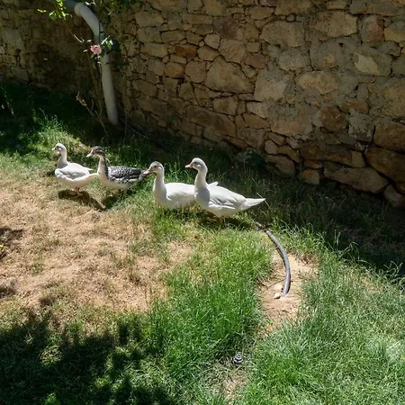 Casa Rural Arribes Vida I Εξοχικό σπίτι